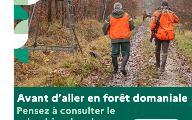 Chasse