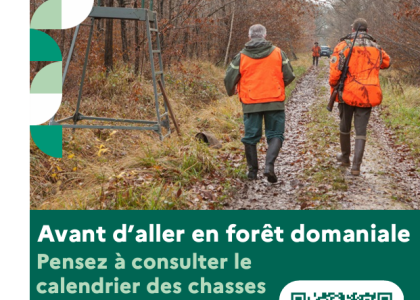 Chasse