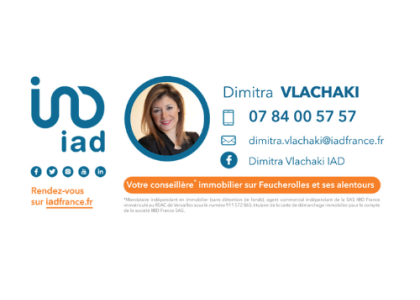 IAD France - Dimitra VLACHAKI