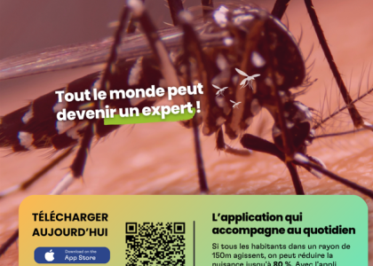 Moustique tigre