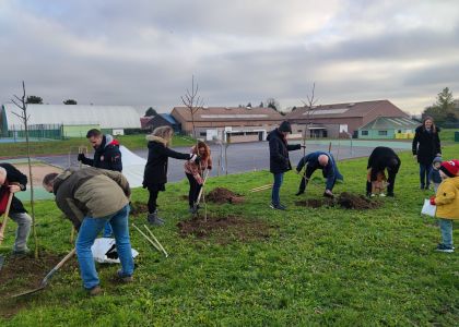Plantation d'arbres le 10 décembre 2021