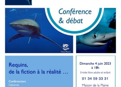 Conférence et débat : requins