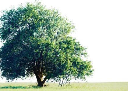 image naturellement gally mauldre