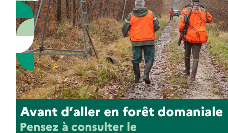 Chasse