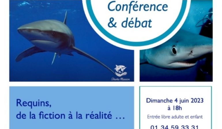 Conférence et débat : requins 