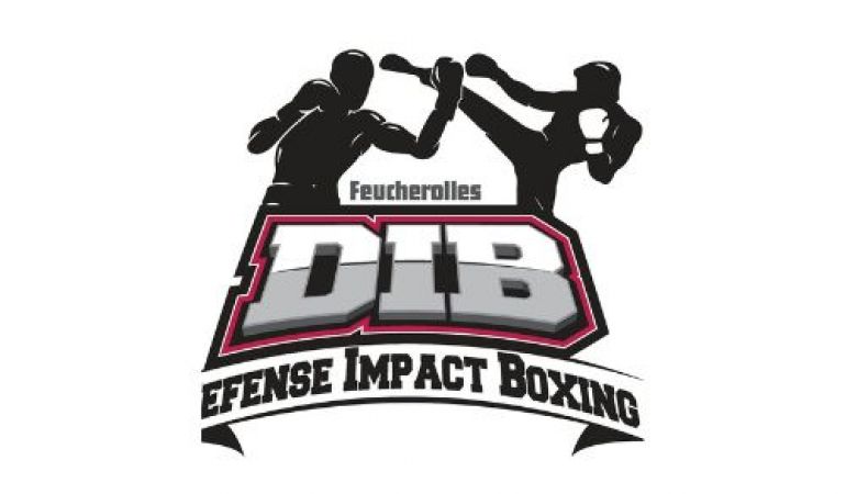 Logo du DIB