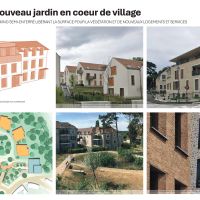 Planche 6