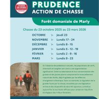 Saison de chasse 2025-2026_1