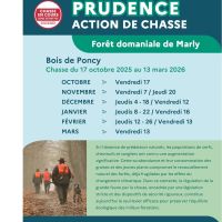 Saison de chasse 2025-2026_2