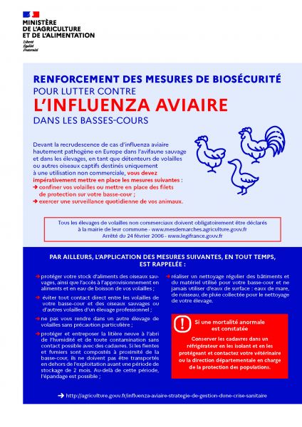 Influenza aviaire 2023